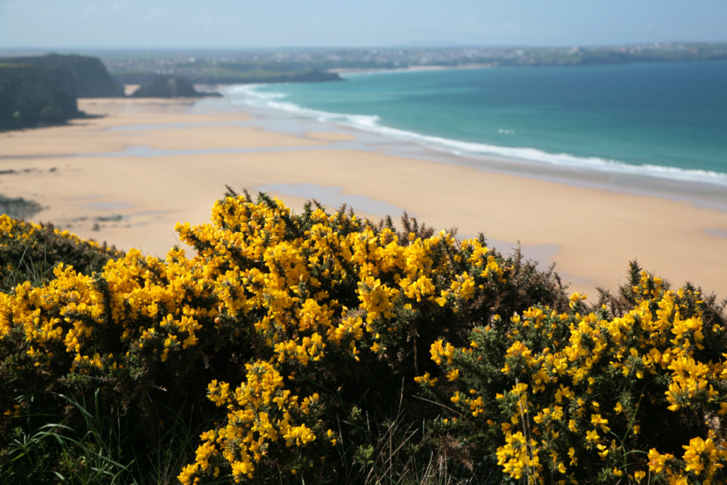 Watergate Bay Is A Cornwall Beach Popular With Families