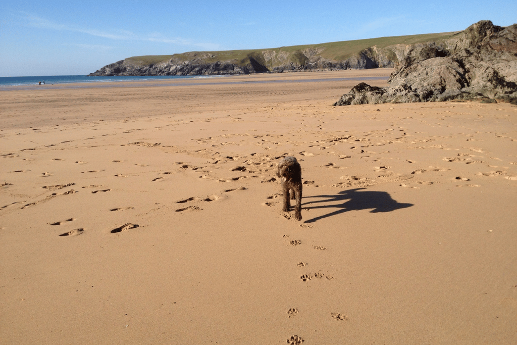 Autumn Beaches In Cornwall Are Usually Quiet